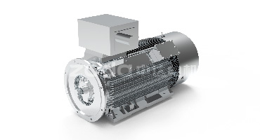 Y2系列緊湊型高壓三相異步電動機